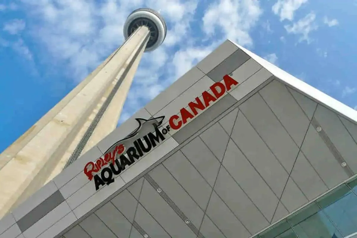 Apartamento Cozy Downtown 1Br Den Free Parking Near Cn Tower Toronto Canadá